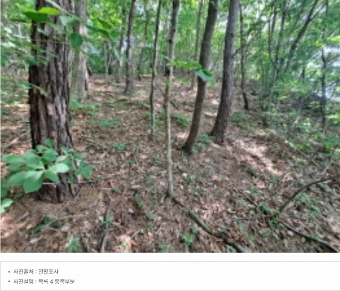 2024타경54636 충청남도 당진시 정미면 천의리 323-1 공장 경매 이미지