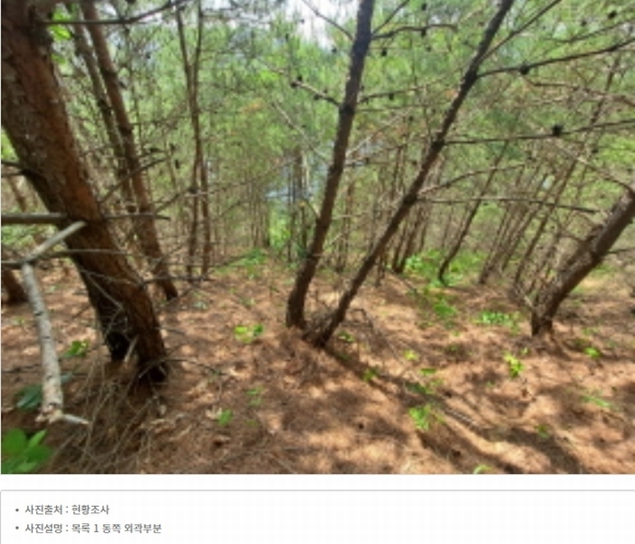 2024타경54636 충청남도 당진시 정미면 천의리 323-1 공장 경매 이미지