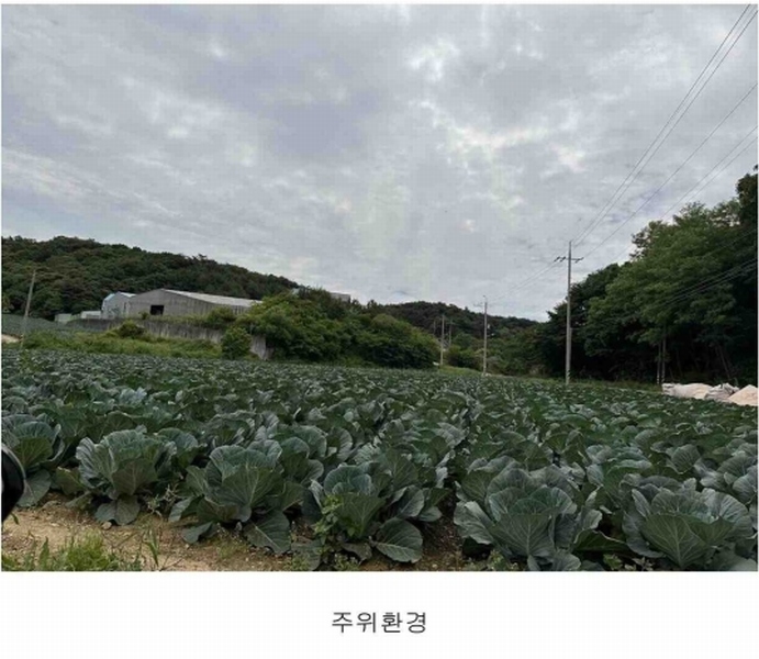 2024타경54636 충청남도 당진시 정미면 천의리 323-1 공장 경매 이미지