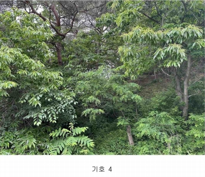 2024타경54636 충청남도 당진시 정미면 천의리 323-1 공장 경매 이미지