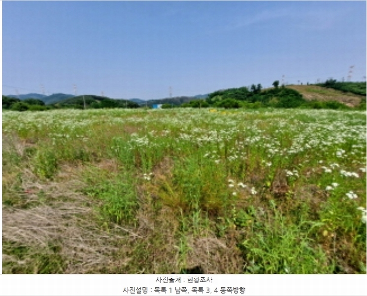 2024타경54650 충청남도 서산시 운산면 고산리 423-21 임야 경매 이미지
