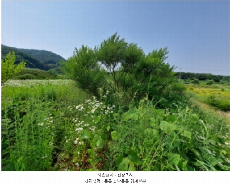 2024타경54650 충청남도 서산시 운산면 고산리 423-21 임야 경매 이미지