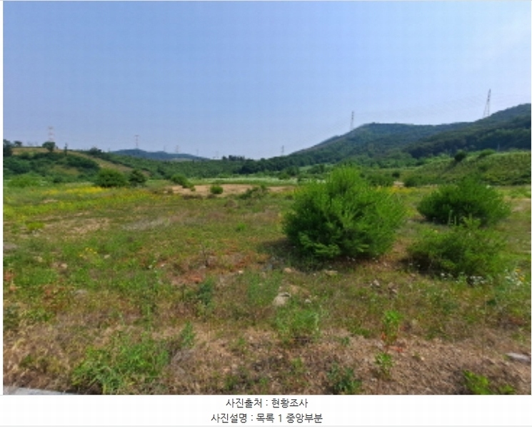 2024타경54650 충청남도 서산시 운산면 고산리 423-21 임야 경매 이미지