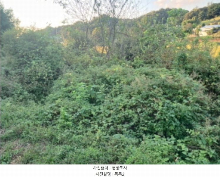 2024타경58928 충청남도 당진시 송악읍 정곡리 5 농지 경매 이미지