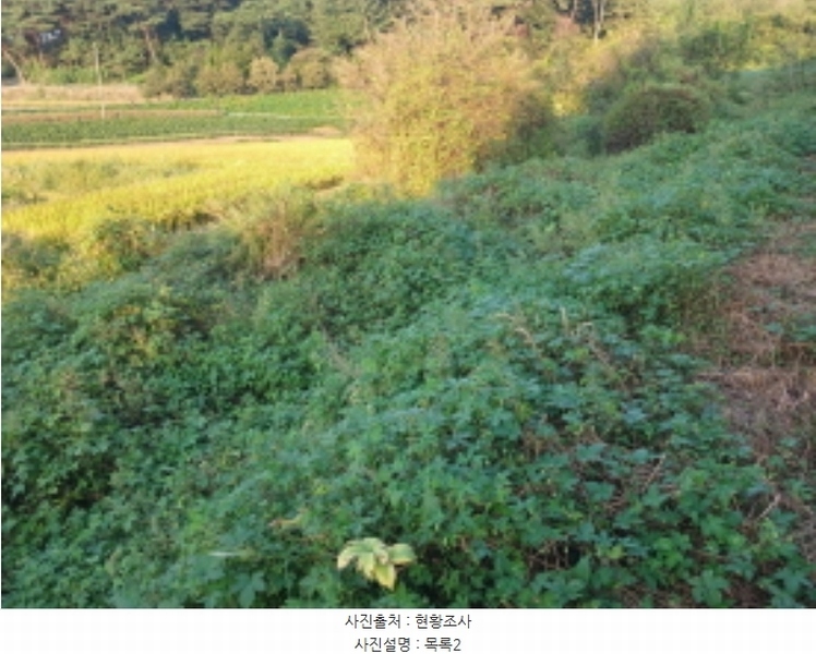 2024타경58928 충청남도 당진시 송악읍 정곡리 5 농지 경매 이미지