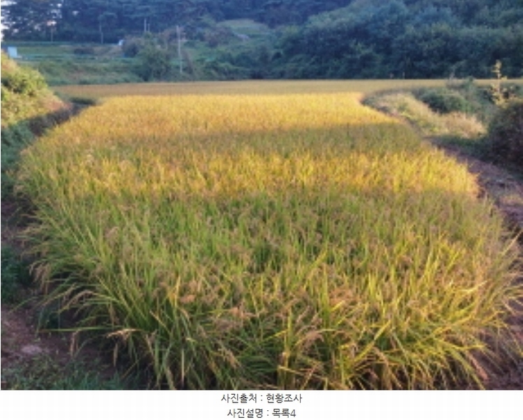 2024타경58928 충청남도 당진시 송악읍 정곡리 5 농지 경매 이미지
