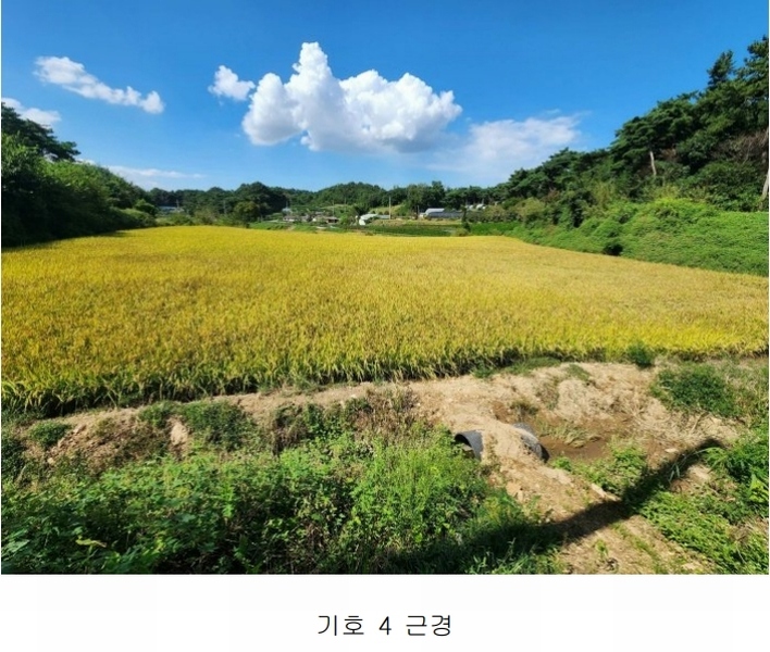 2024타경58928 충청남도 당진시 송악읍 정곡리 5 농지 경매 이미지