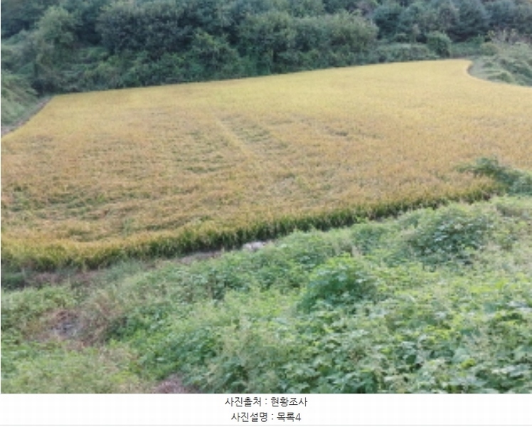 2024타경58928 충청남도 당진시 송악읍 정곡리 5 농지 경매 이미지