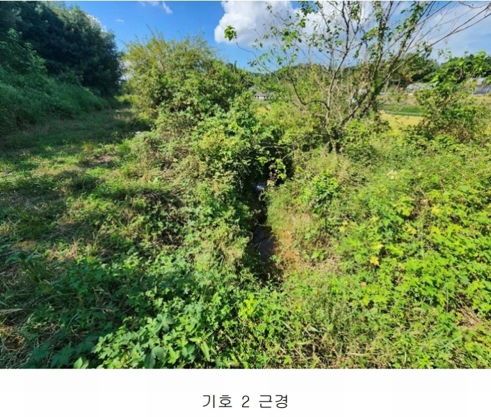2024타경58928 충청남도 당진시 송악읍 정곡리 5 농지 경매 이미지