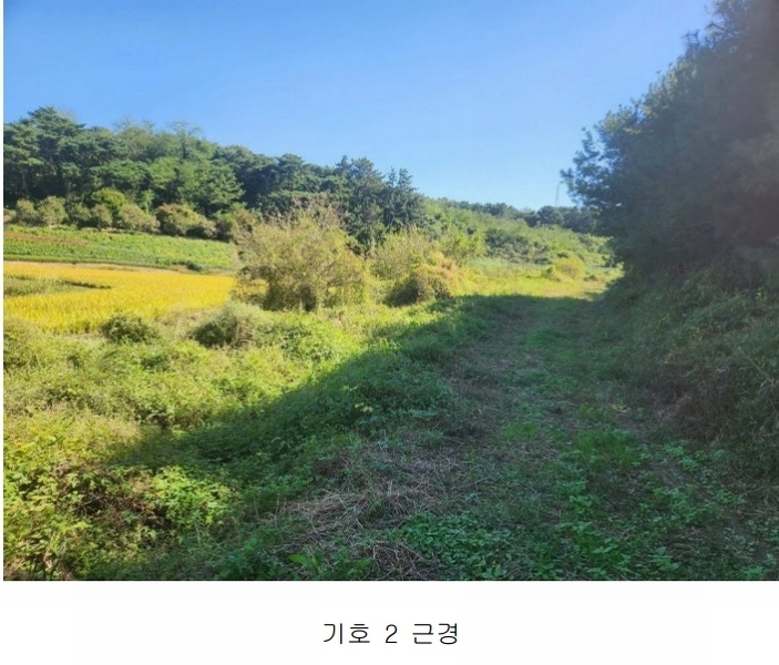 2024타경58928 충청남도 당진시 송악읍 정곡리 5 농지 경매 이미지