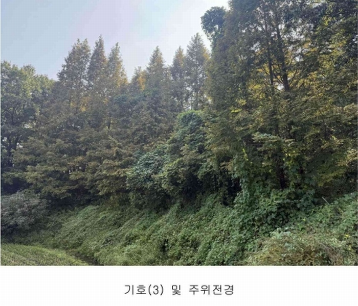 2024타경59341 충청남도 서산시 팔봉면 금학리 388 농지 경매 이미지