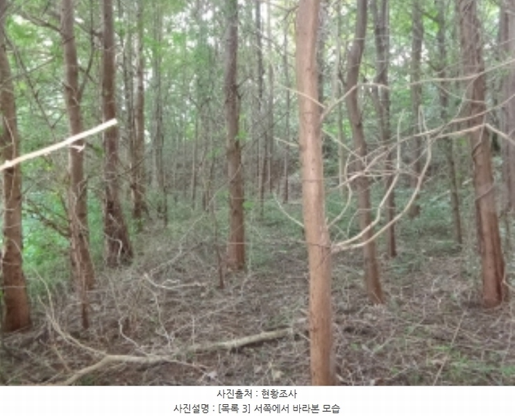 2024타경59341 충청남도 서산시 팔봉면 금학리 388 농지 경매 이미지