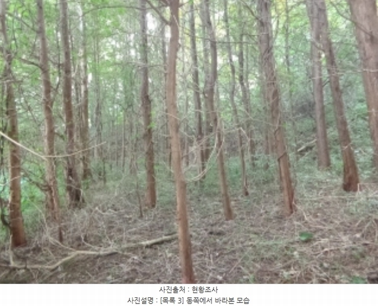 2024타경59341 충청남도 서산시 팔봉면 금학리 388 농지 경매 이미지