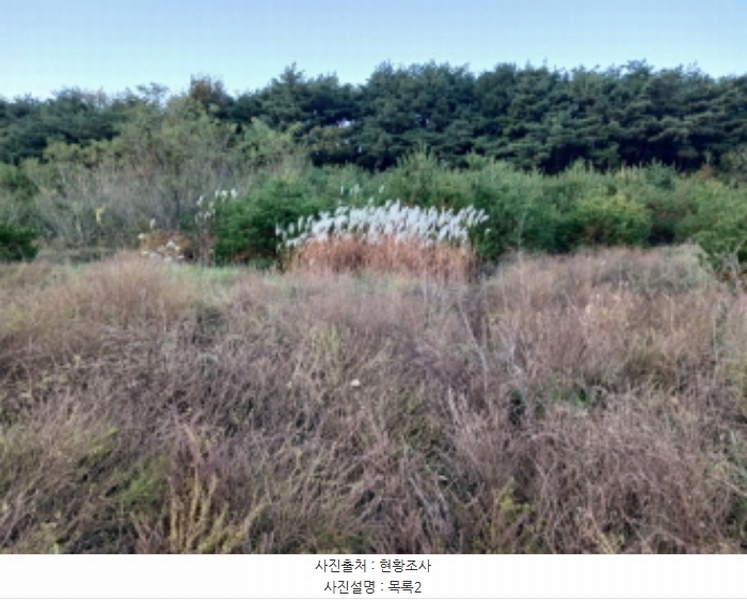 2024타경60037 충청남도 서산시 운산면 고산리 427 임야 경매 이미지