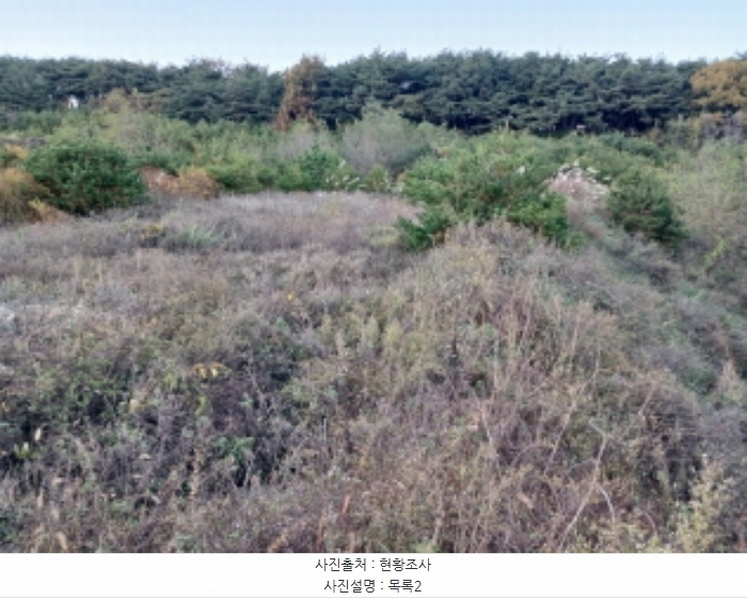 2024타경60037 충청남도 서산시 운산면 고산리 427 임야 경매 이미지