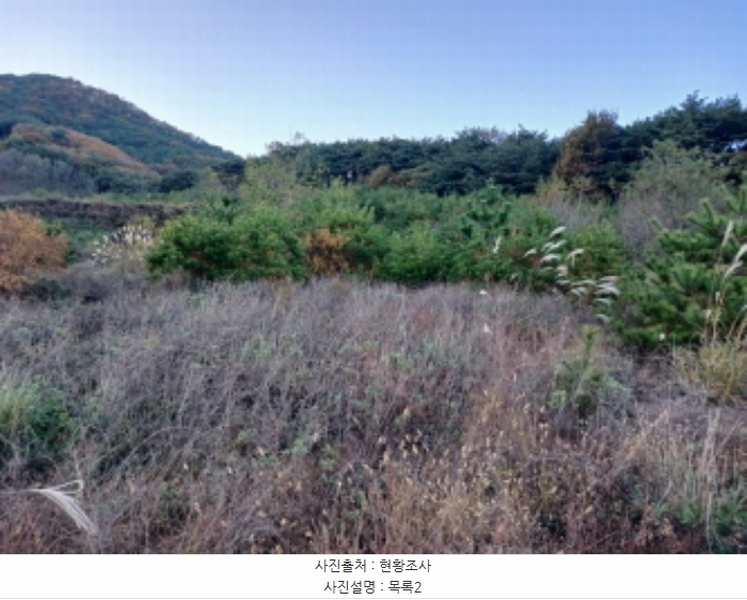 2024타경60037 충청남도 서산시 운산면 고산리 427 임야 경매 이미지