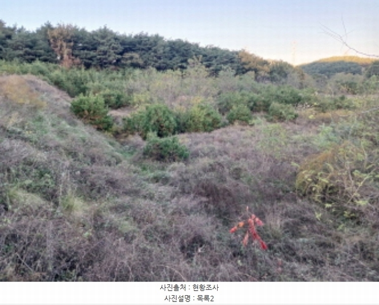 2024타경60037 충청남도 서산시 운산면 고산리 427 임야 경매 이미지