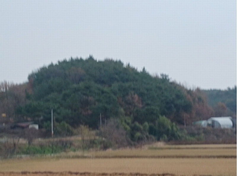 2024타경60518 충청남도 당진시 대호지면 사성리 181-3 임야 경매 이미지