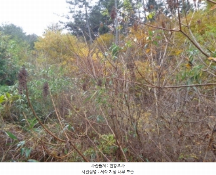2024타경60938 충청남도 태안군 이원면 관리 산141-3 임야 경매 이미지