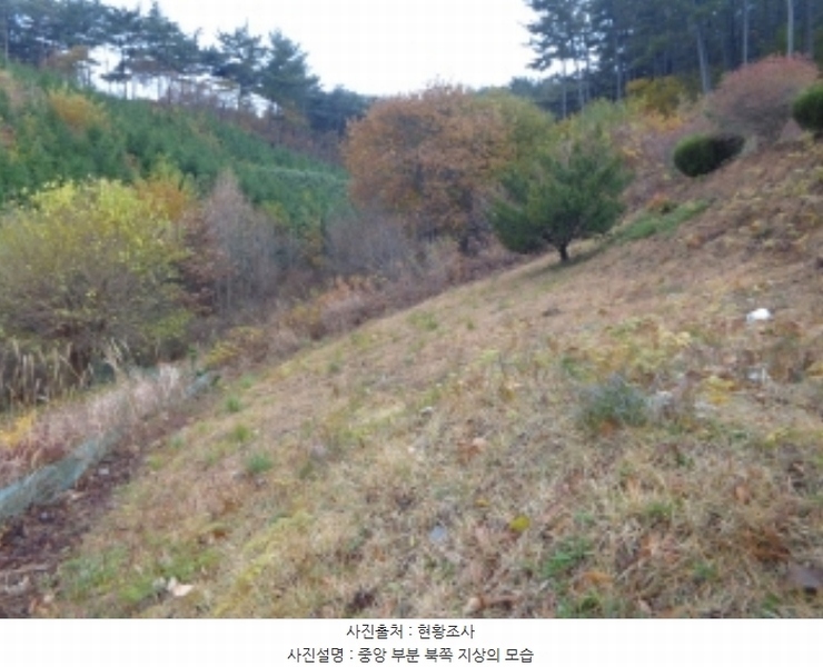 2024타경60938 충청남도 태안군 이원면 관리 산141-3 임야 경매 이미지