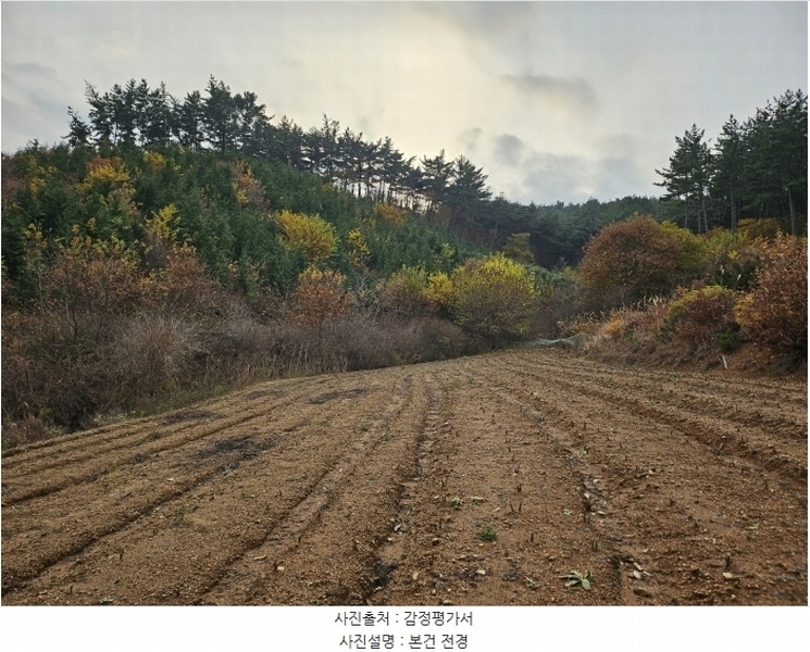 2024타경60938 충청남도 태안군 이원면 관리 산141-3 임야 경매 이미지