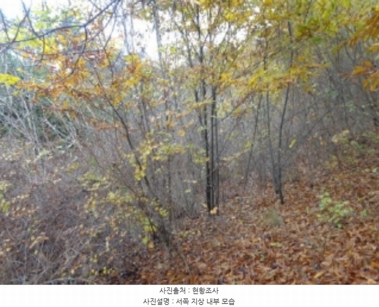 2024타경60938 충청남도 태안군 이원면 관리 산141-3 임야 경매 이미지