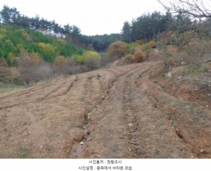 2024타경60938 충청남도 태안군 이원면 관리 산141-3 임야 경매 이미지