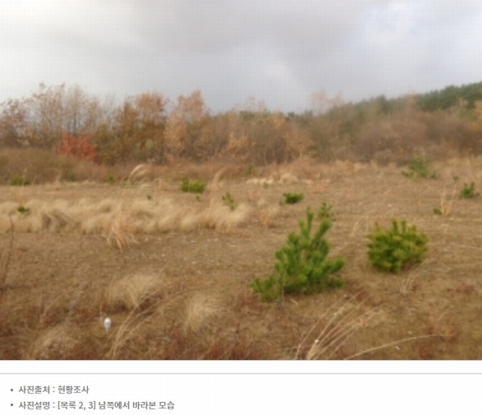 2024타경61122 충청남도 태안군 남면 원청리 41-7 임야 경매 이미지