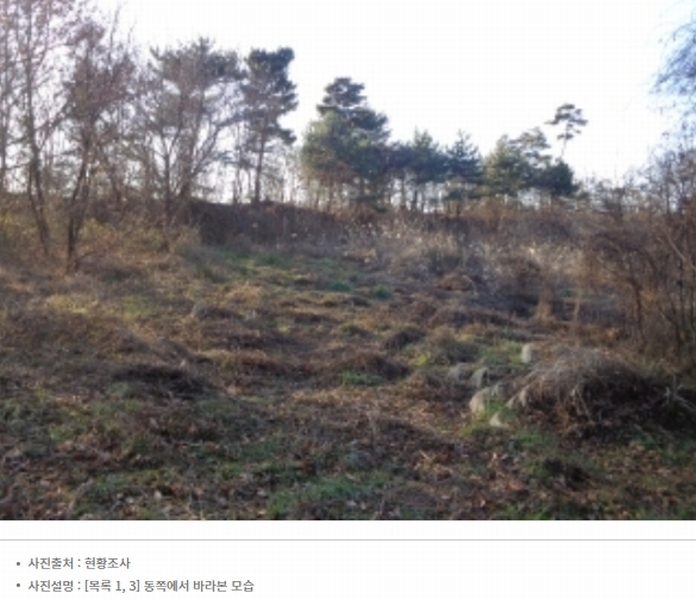 2024타경61122 충청남도 태안군 남면 원청리 41-7 임야 경매 이미지