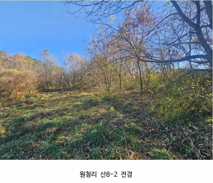 2024타경61122 충청남도 태안군 남면 원청리 41-7 임야 경매 이미지