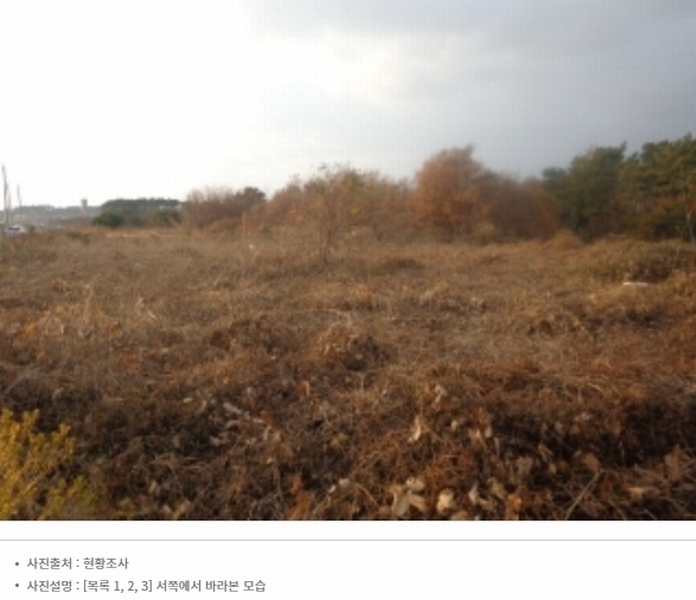 2024타경61122 충청남도 태안군 남면 원청리 41-7 임야 경매 이미지