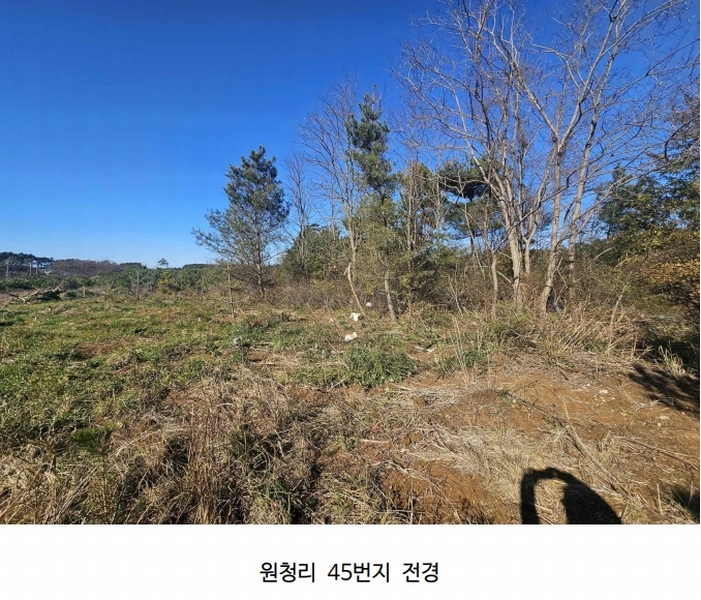 2024타경61122 충청남도 태안군 남면 원청리 41-7 임야 경매 이미지