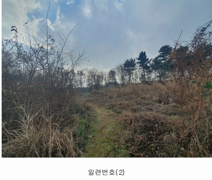 2024타경61122 충청남도 태안군 남면 원청리 41-7 임야 경매 이미지