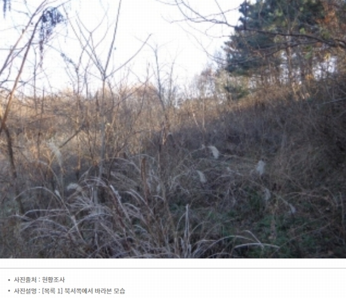 2024타경61122 충청남도 태안군 남면 원청리 41-7 임야 경매 이미지