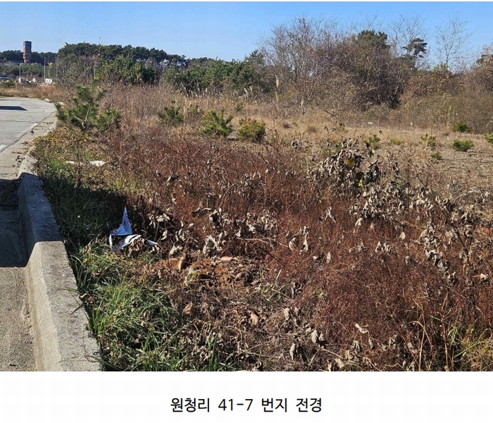 2024타경61122 충청남도 태안군 남면 원청리 41-7 임야 경매 이미지