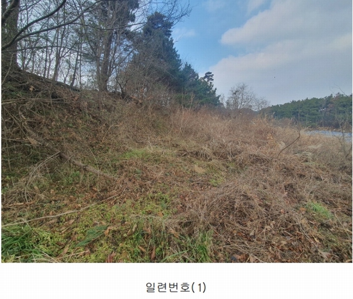 2024타경61122 충청남도 태안군 남면 원청리 41-7 임야 경매 이미지
