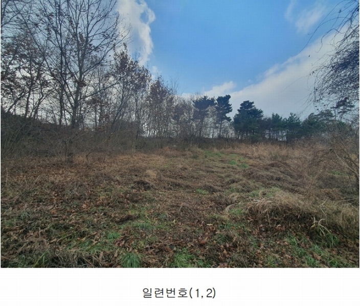 2024타경61122 충청남도 태안군 남면 원청리 41-7 임야 경매 이미지