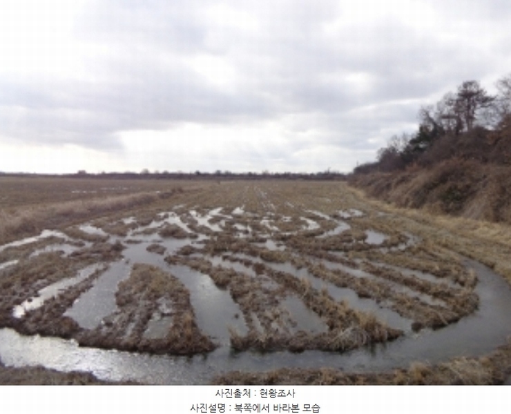 2024타경61566 충청남도 태안군 태안읍 반곡리 1156 농지 경매 이미지