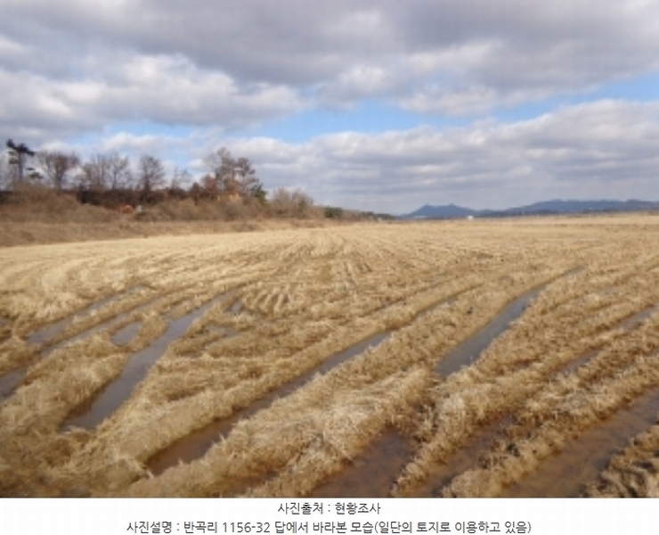 2024타경61566 충청남도 태안군 태안읍 반곡리 1156 농지 경매 이미지