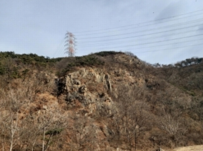 2024타경61573 충청남도 당진시 구룡동 산191-3 임야 경매 이미지