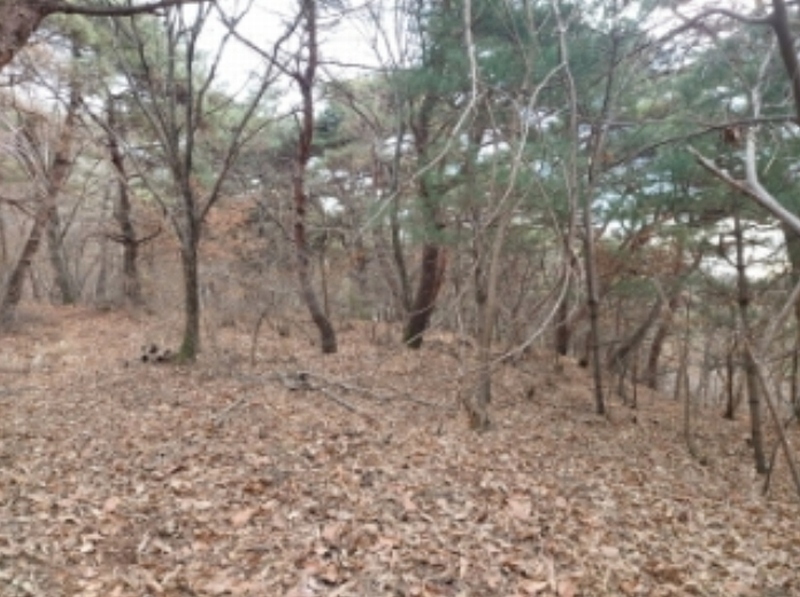 2024타경61573 충청남도 당진시 구룡동 산191-3 임야 경매 이미지