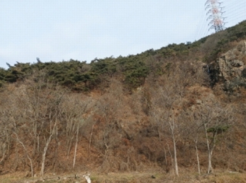 2024타경61573 충청남도 당진시 구룡동 산191-3 임야 경매 이미지