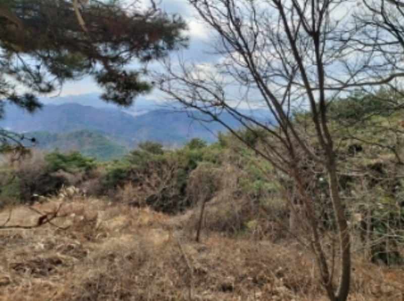 2024타경61573 충청남도 당진시 구룡동 산191-3 임야 경매 이미지