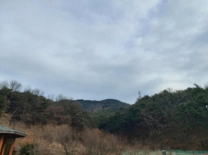 2024타경61573 충청남도 당진시 구룡동 산191-3 임야 경매 이미지