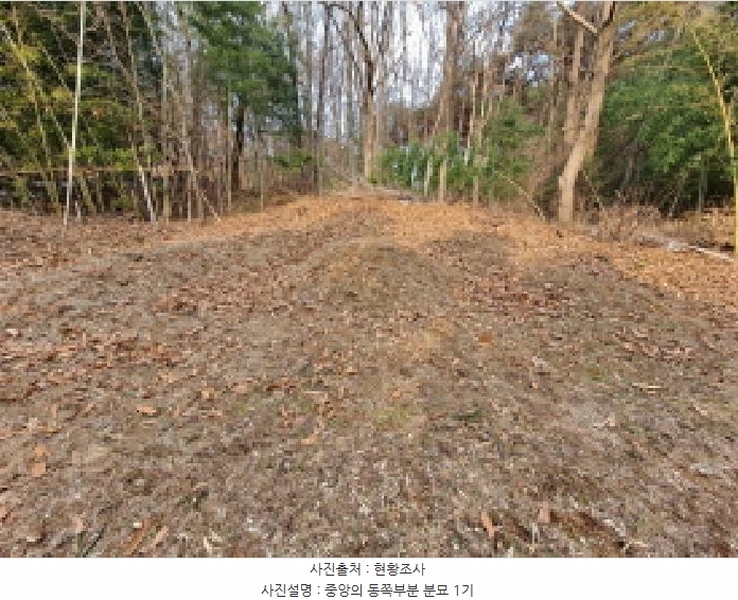 2025타경50143 충청남도 당진시 송악읍 반촌리 845-3 임야 경매 이미지