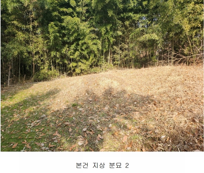 2025타경50143 충청남도 당진시 송악읍 반촌리 845-3 임야 경매 이미지