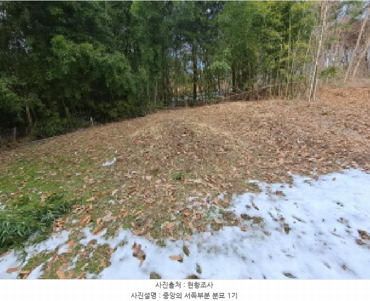 2025타경50143 충청남도 당진시 송악읍 반촌리 845-3 임야 경매 이미지