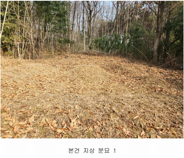 2025타경50143 충청남도 당진시 송악읍 반촌리 845-3 임야 경매 이미지