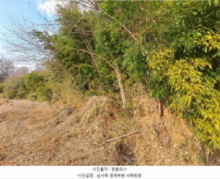 2025타경50143 충청남도 당진시 송악읍 반촌리 845-3 임야 경매 이미지
