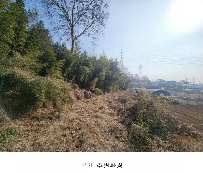 2025타경50143 충청남도 당진시 송악읍 반촌리 845-3 임야 경매 이미지